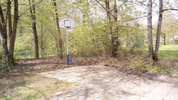 Basketballkorb.jpg