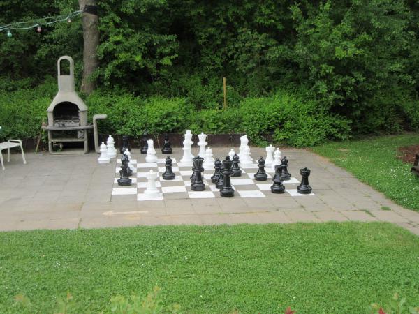 Schach2.jpg